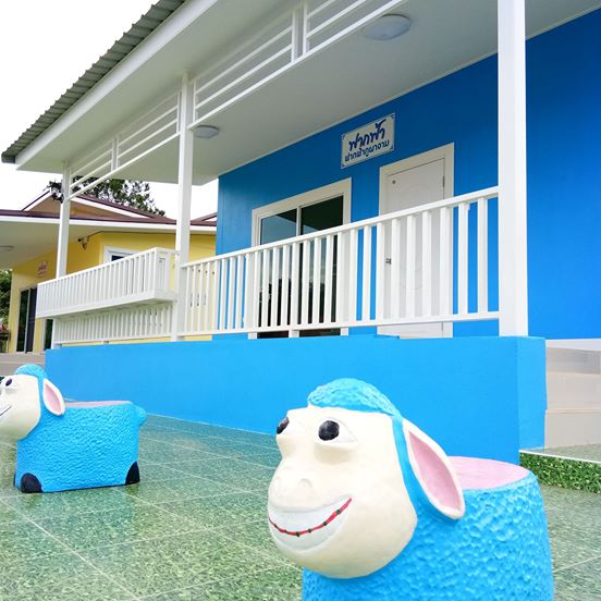 34172109_1682659385136504_5810284577536606208_n